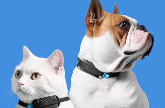 From Coronary heart Well being to GPS Monitoring: Unveiling The Invoxia Minitail Good Pet Tracker At CES 2024