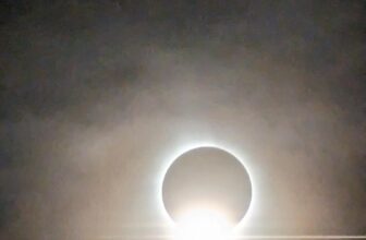 The Little Issues E-newsletter #412 – Life, laughter, and plenty of nice meals!